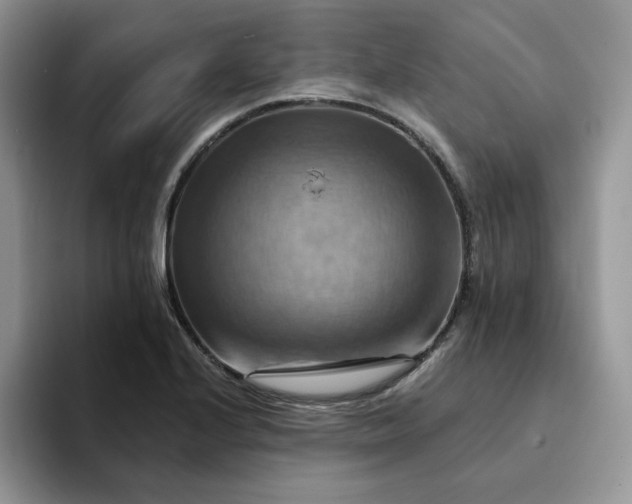 X0000093221224200710171353