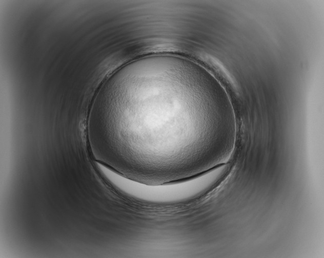 X0000093221225200710171353