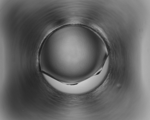 X0000093221226200710171353