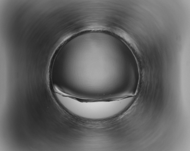 X0000093221229200710171353