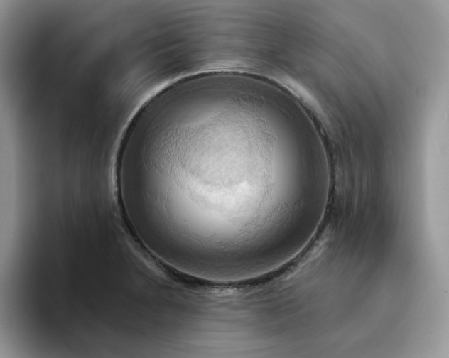 X0000093221230200710171353