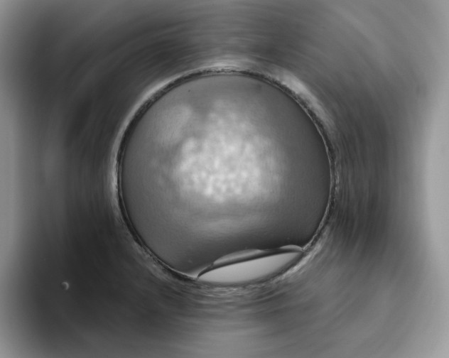 X0000093221232200710171353