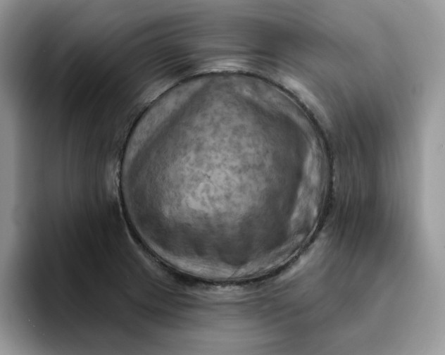 X0000093221233200710171353