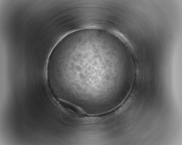 X0000093221236200710171353