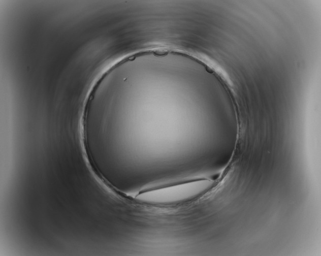 X0000093221239200710171353