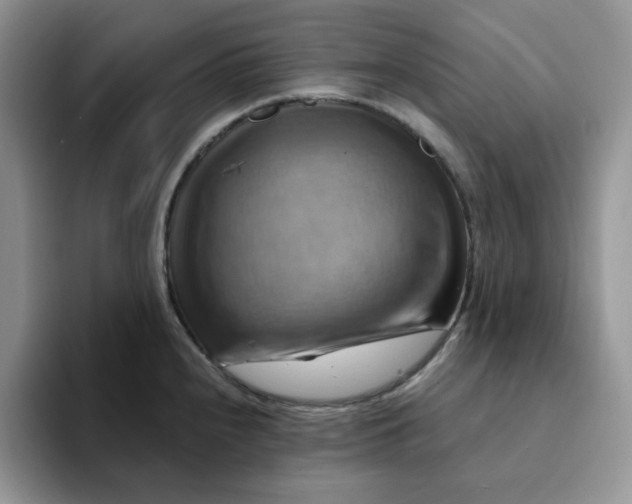 X0000093221240200710171353