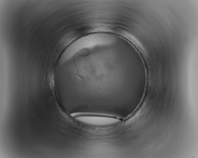 X0000093221241200710171353