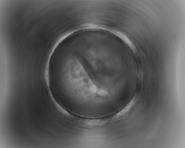 X0000093221247200710171354