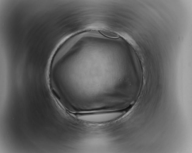 X0000093221248200710171354