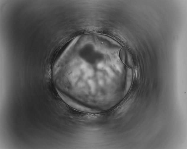 X0000093221251200710171353