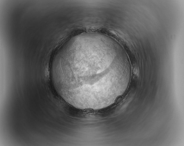 X0000093221252200710171353