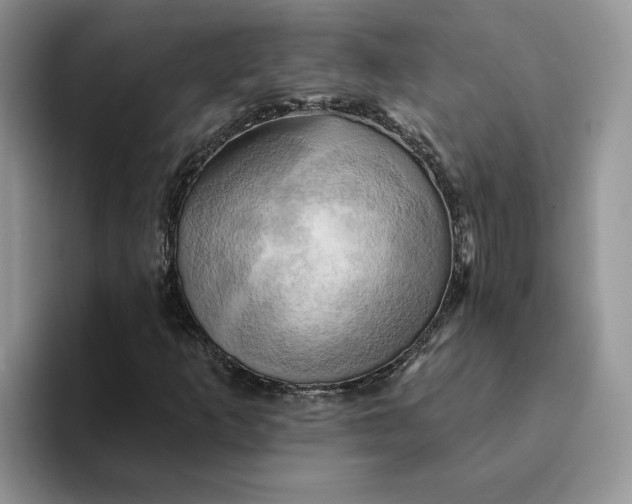 X0000093221253200710171353