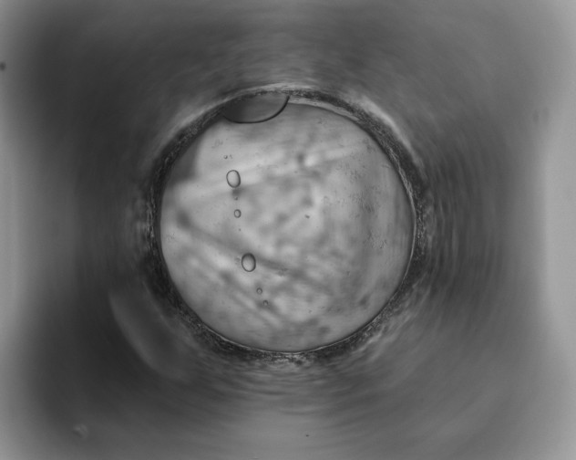 X0000093221255200710171353