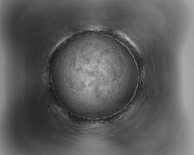 X0000093221256200710171353