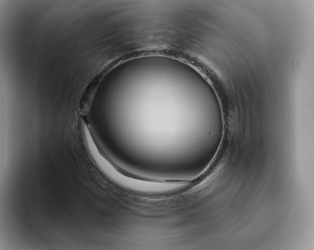 X0000093221257200710171353