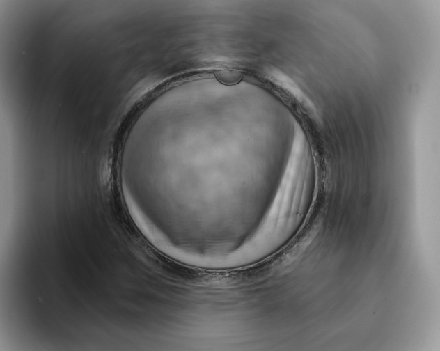 X0000093221259200710171353