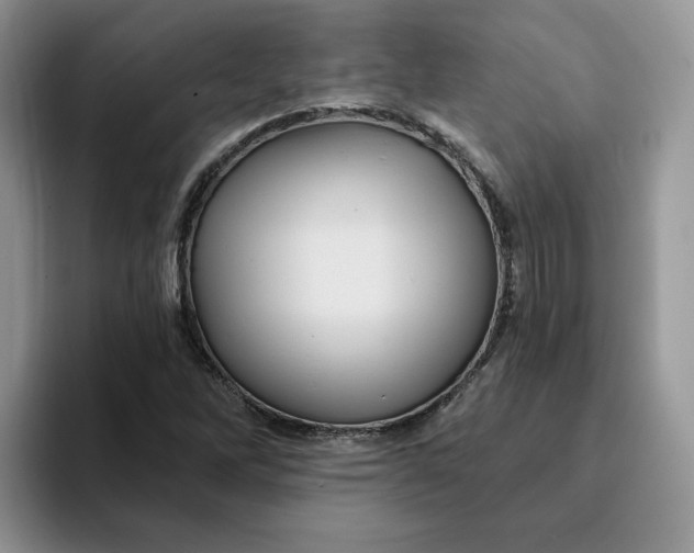 X0000093221262200710171353