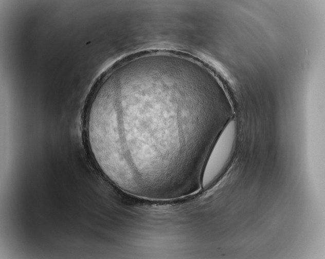 X0000093221264200710171353