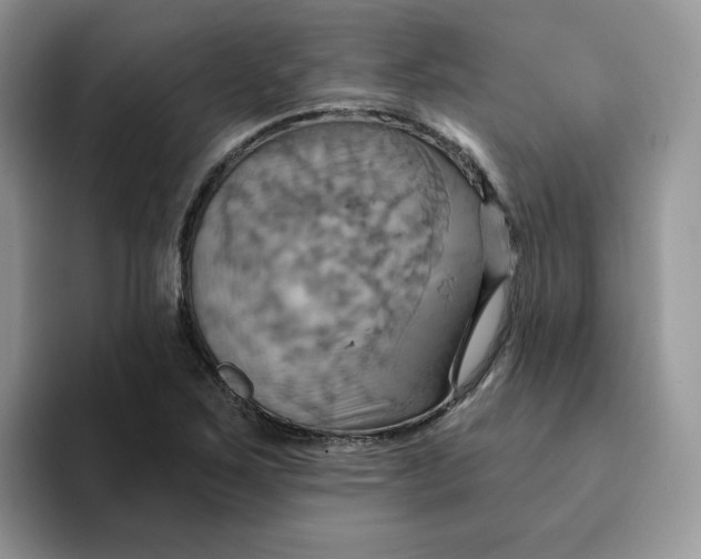 X0000093221267200710171353