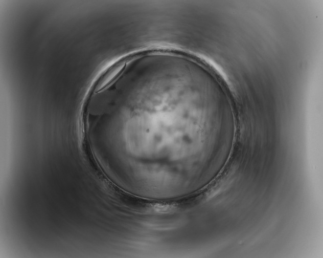 X0000093221271200710171353