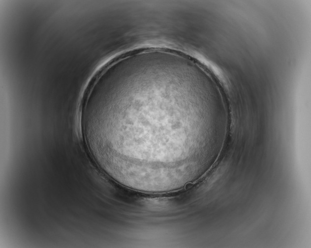 X0000093221272200710171353