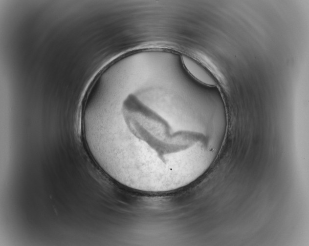 X0000093221276200710171353