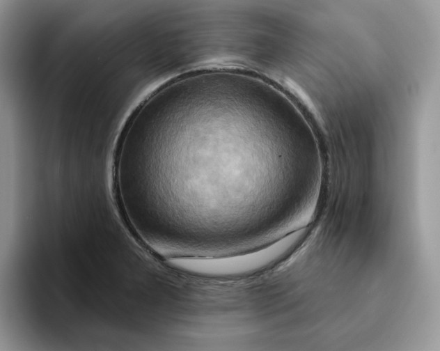 X0000093221277200710171353