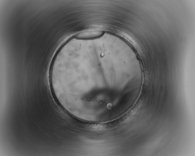 X0000093221283200710171353