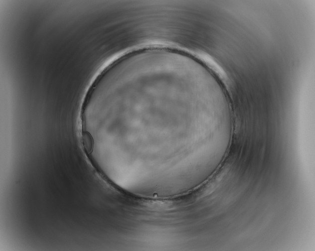 X0000093221287200710171353