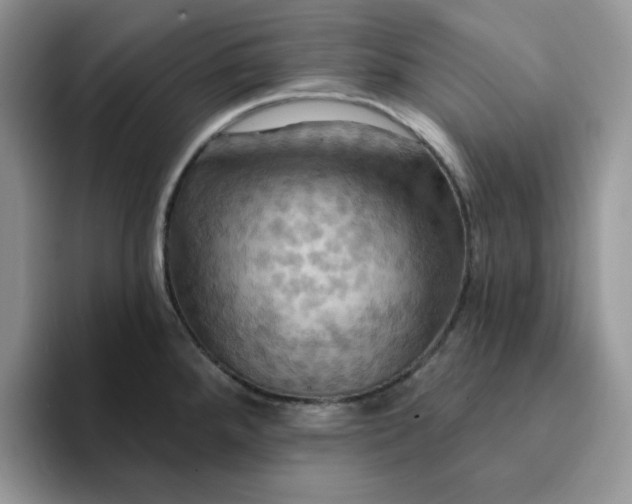 X0000093221288200710171353