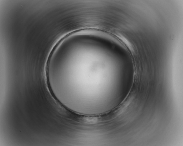 X0000093221291200710171353