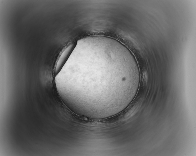 X0000093221300200710171352