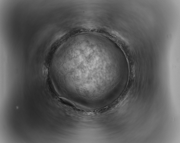 X0000093221302200710171352