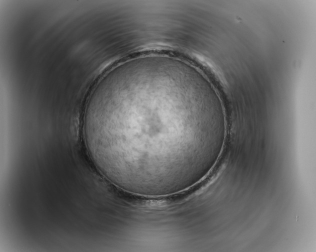 X0000093221313200710171352