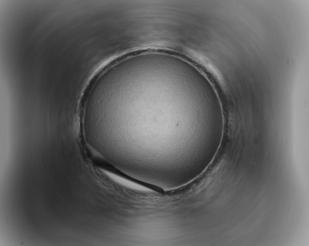 X0000093221316200710171352