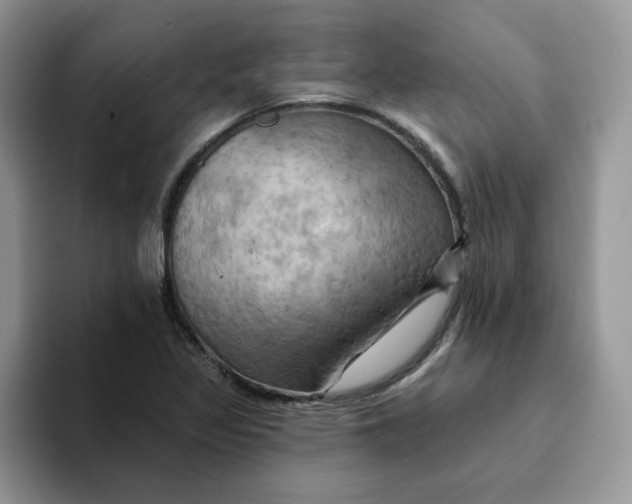 X0000093221317200710171352