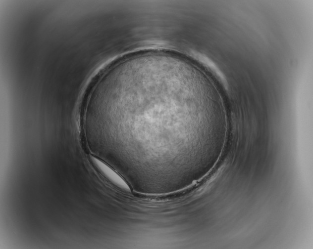 X0000093221318200710171352