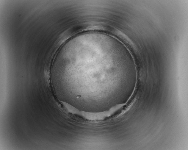 X0000093221321200710171352