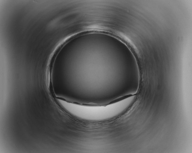 X0000093221323200710171352