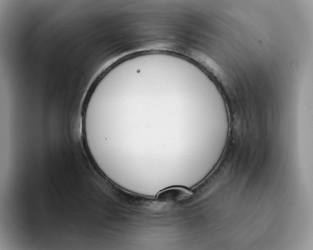 X0000093221324200710171352