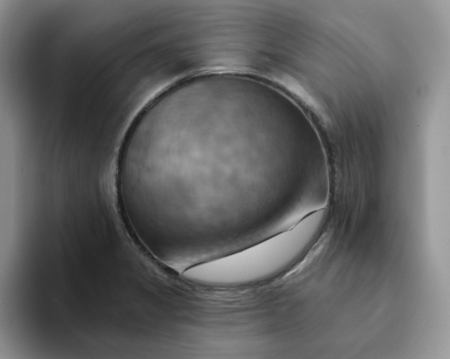 X0000093221325200710171352