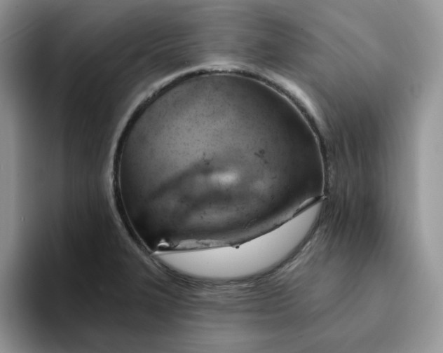 X0000093221327200710171352