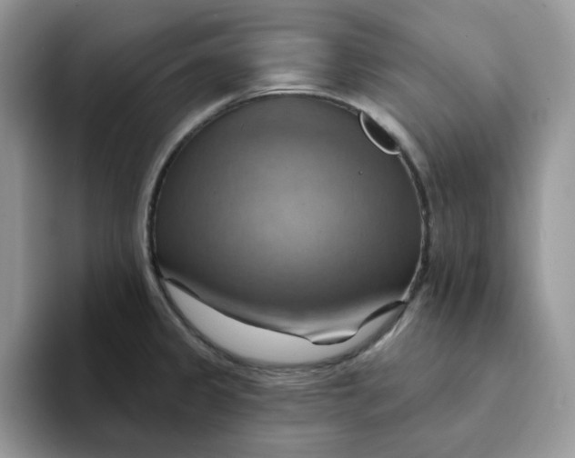 X0000093221333200710171352