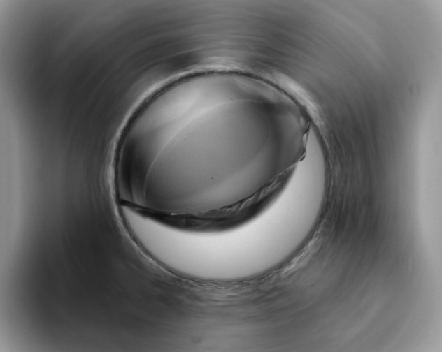 X0000093221334200710171352