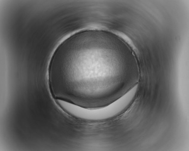 X0000093221335200710171352