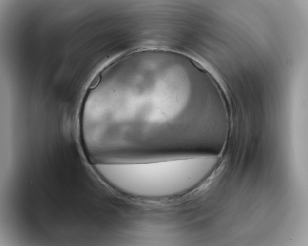 X0000093221341200710171352