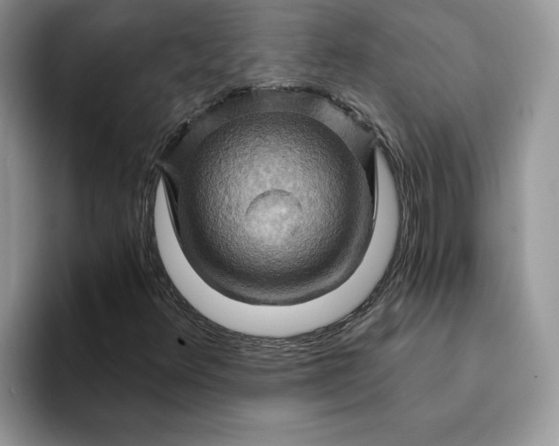 X0000093221348200710171352