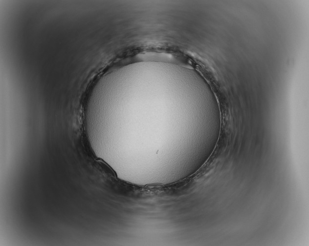 X0000093221349200710171352