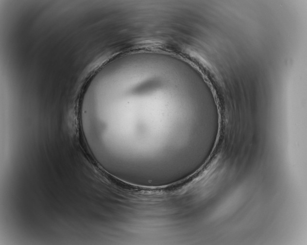 X0000093221354200710171352