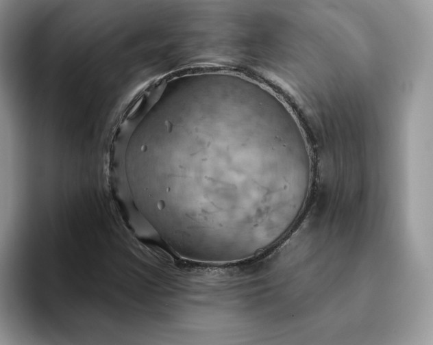 X0000093221355200710171352